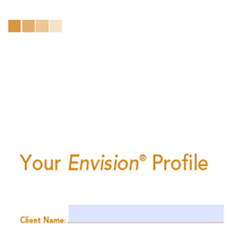 Envision Profile